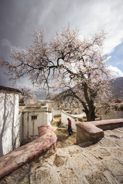 http://www.lauraportinaro.com/files/gimgs/69_chupsang-monastery.jpg