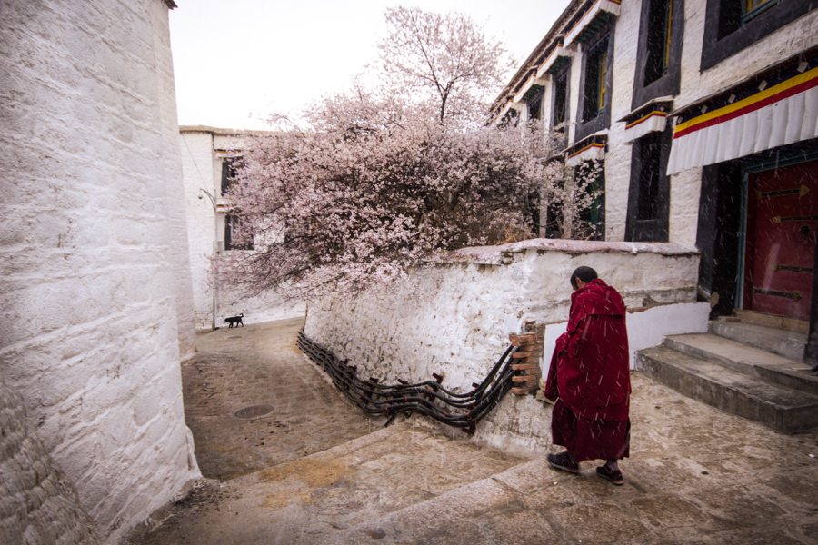 http://www.lauraportinaro.com/files/gimgs/69_ganden-monastery-with-snow.jpg