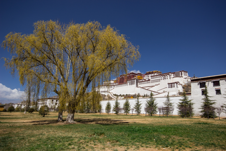 http://www.lauraportinaro.com/files/gimgs/69_potala-lhasa.jpg