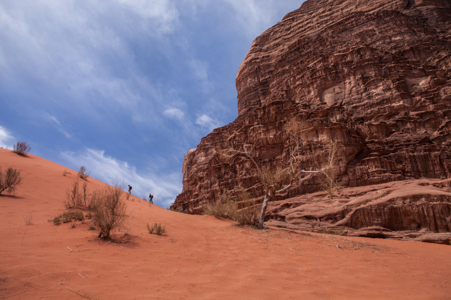 http://www.lauraportinaro.com/files/gimgs/70_wadirum1.jpg