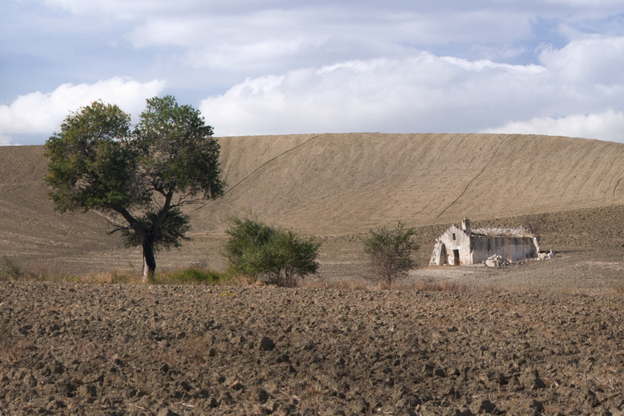 http://www.lauraportinaro.com/files/gimgs/75_untitledpanorama3_v2.jpg